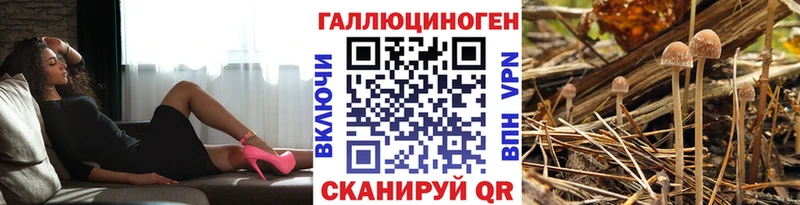 Галлюциногенные грибы мухоморы  кракен tor  Анжеро-Судженск 